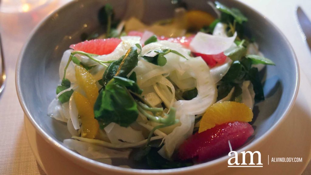 [Review] A Culinary Journey to Argentina: Brasero and Florería Atlántico pop-up at One-ninety Restaurant and One-Ninety Bar at Four Seasons Hotel Singapore - Alvinology