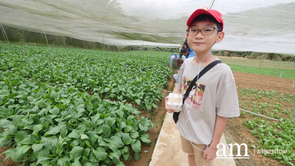 [Event] Uncover Hidden Heritage with My Community Festival 2023 and Venture into Neighbouring Farms in Malaysia - Alvinology