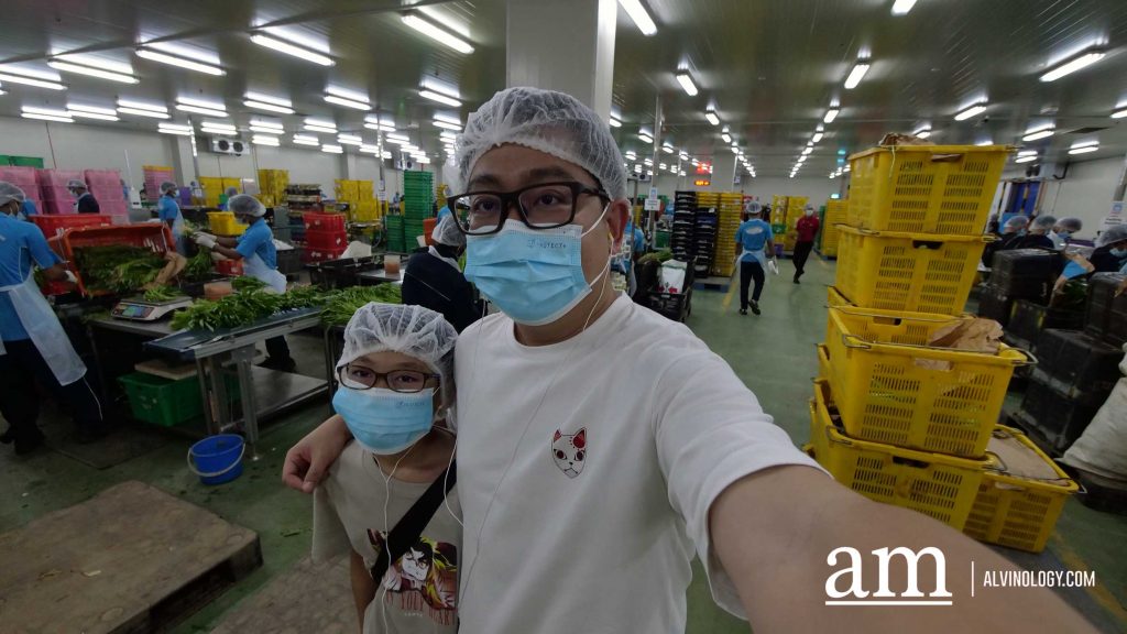 [Event] Uncover Hidden Heritage with My Community Festival 2023 and Venture into Neighbouring Farms in Malaysia - Alvinology