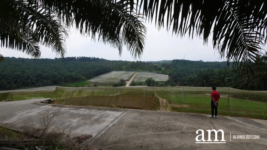 [Event] Uncover Hidden Heritage with My Community Festival 2023 and Venture into Neighbouring Farms in Malaysia - Alvinology