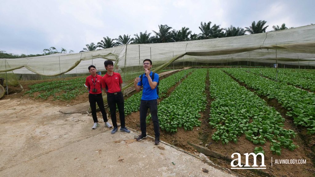 [Event] Uncover Hidden Heritage with My Community Festival 2023 and Venture into Neighbouring Farms in Malaysia - Alvinology