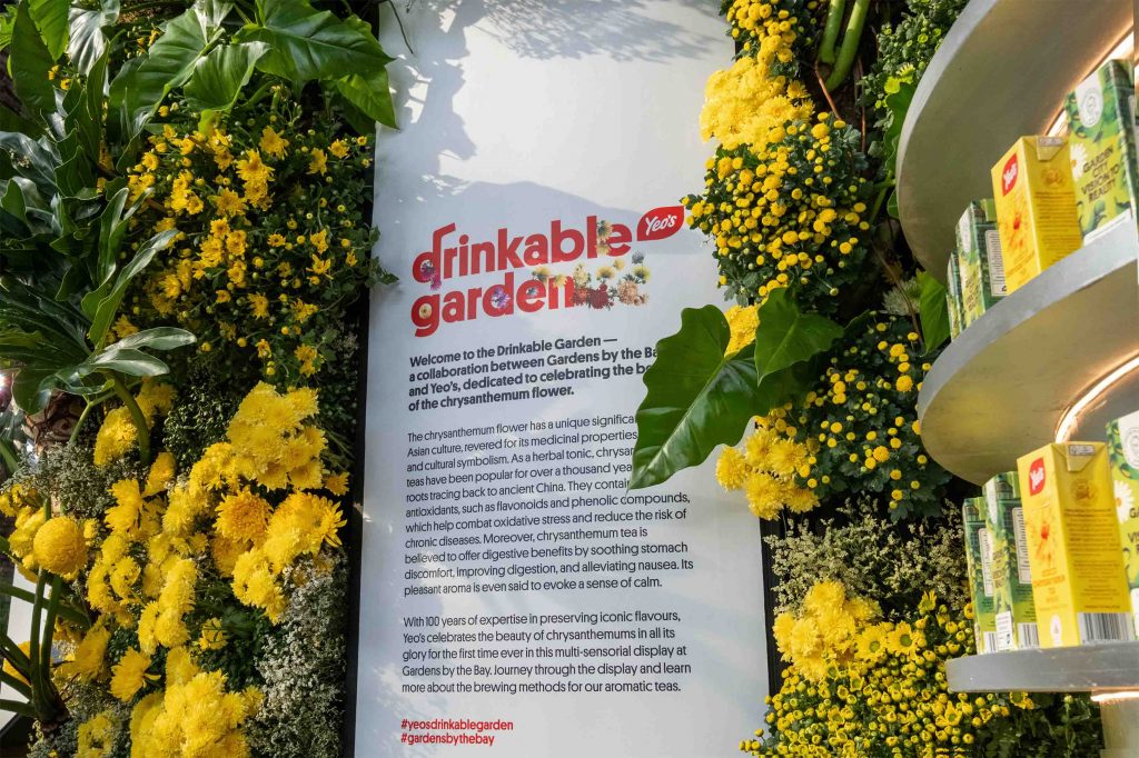 Explore the Chrysanthemum Charm and Flower Carpet displays at Yeo's Drinkable Garden at Gardens by the Bay - Alvinology