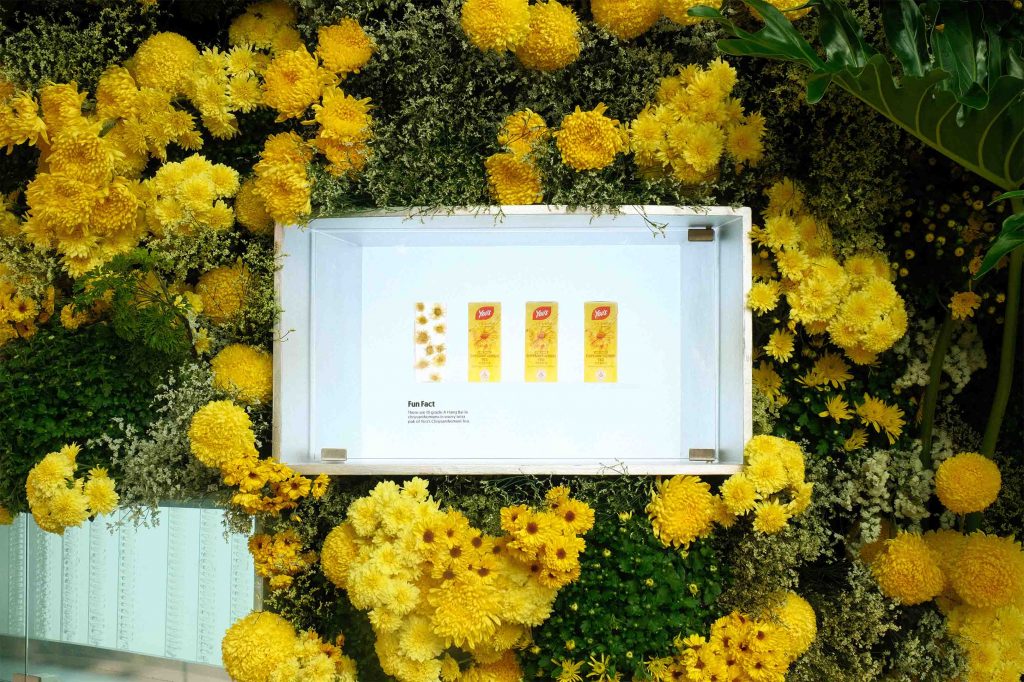 Explore the Chrysanthemum Charm and Flower Carpet displays at Yeo's Drinkable Garden at Gardens by the Bay - Alvinology
