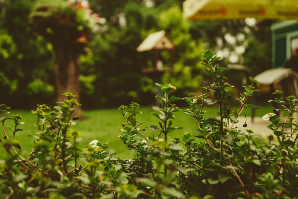 How Home Gardens Foster Family Bonding and Togetherness - Alvinology