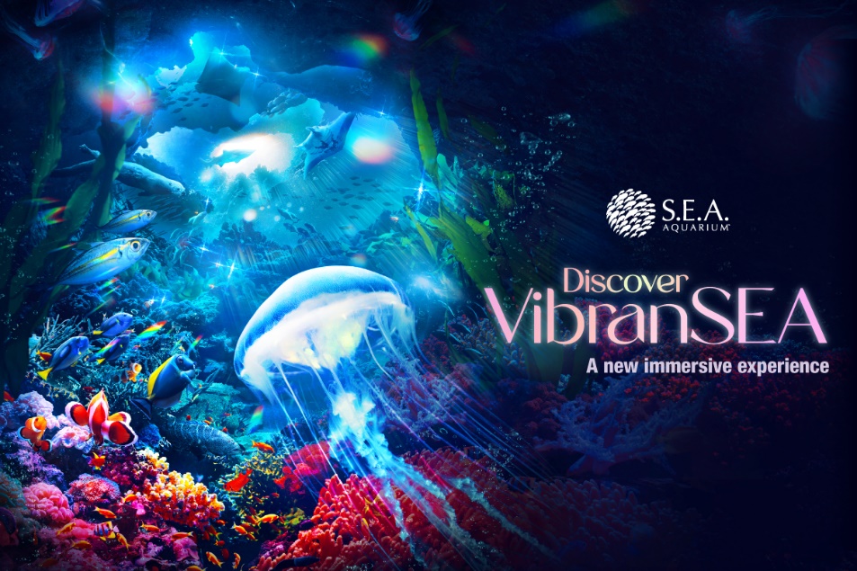 Dive into the Mysteries of the Ocean at S.E.A. Aquarium’s newest attractions – VibranSEA and The Aquarist Lab - Alvinology