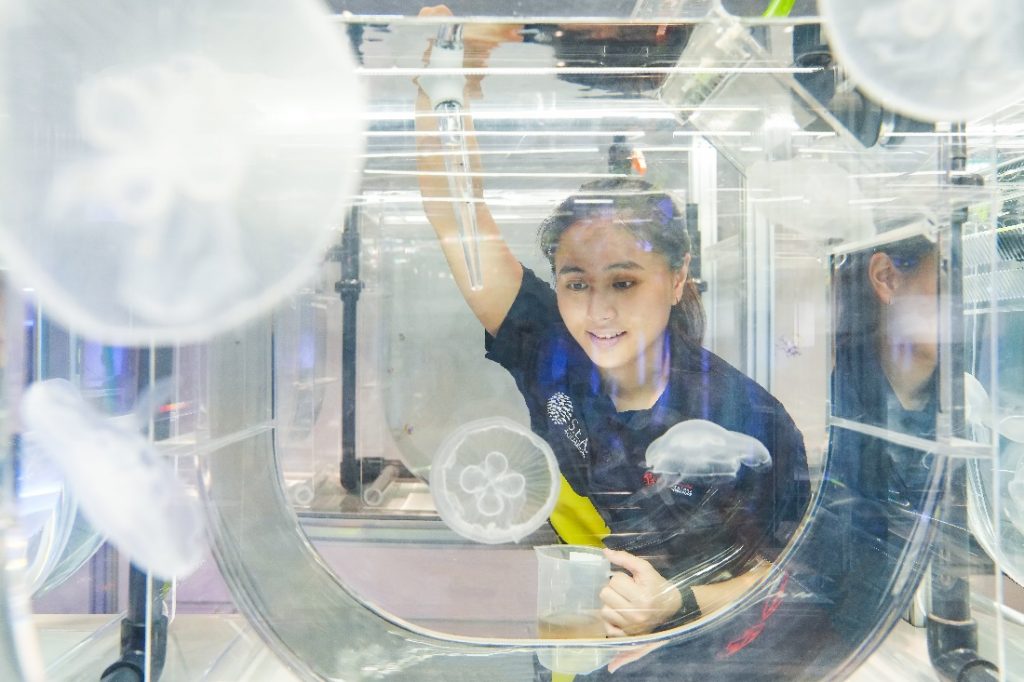 Dive into the Mysteries of the Ocean at S.E.A. Aquarium’s newest attractions – VibranSEA and The Aquarist Lab - Alvinology