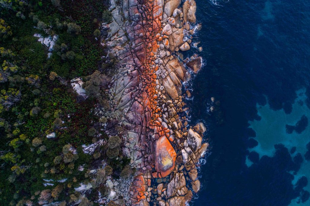 Discover Tasmania: An Epic 8-Day Road Trip Adventure Through Australia's Untamed Island State - Alvinology