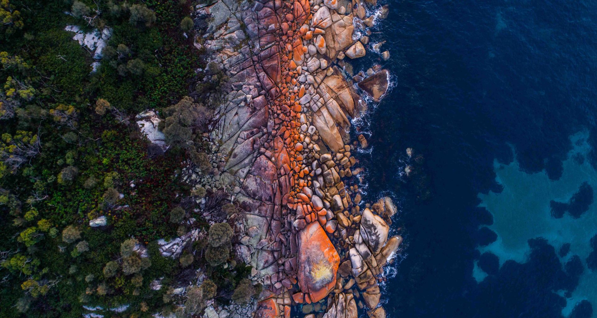 Discover Tasmania: An Epic 8-Day Road Trip Adventure Through Australia's Untamed Island State - Alvinology