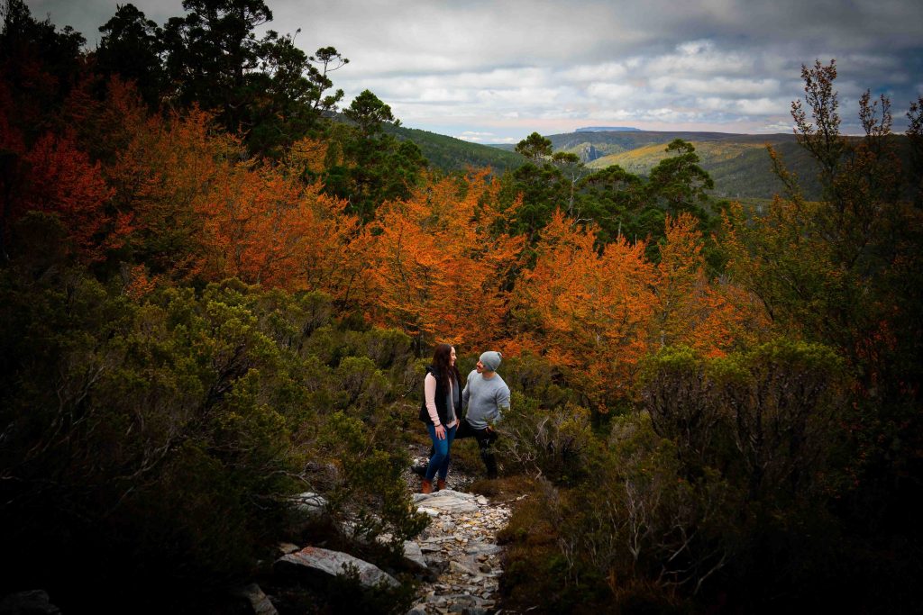 Discover Tasmania: An Epic 8-Day Road Trip Adventure Through Australia's Untamed Island State Discover Tasmania: An Epic 8-Day Road Trip Adventure Through Australia's Untamed Island State - Alvinology