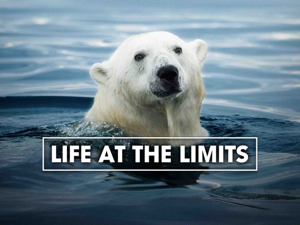 Unleash the Thrills: Holiday Delights on Discovery Channel, TLC, HGTV, AFN, and Animal Planet - Alvinology
