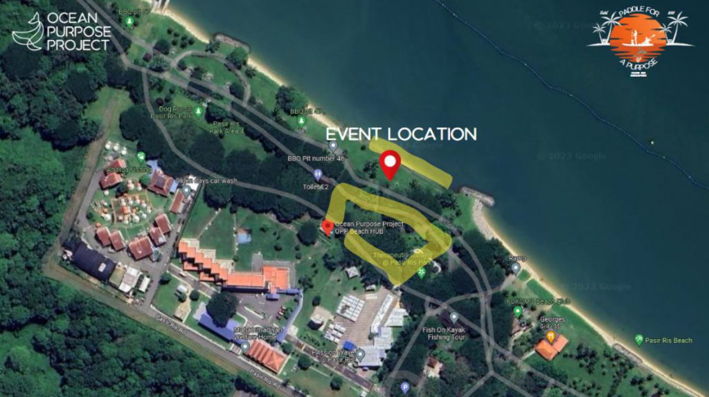 Ride the Waves of Change at Pasir Ris Beach: Paddle For A Purpose 2023 - Alvinology