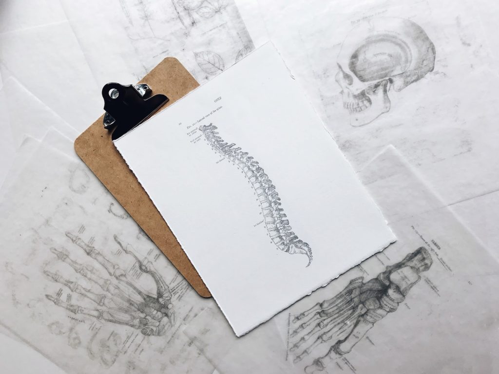 Why a Healthy Spine is the Key to an Active Lifestyle - Alvinology