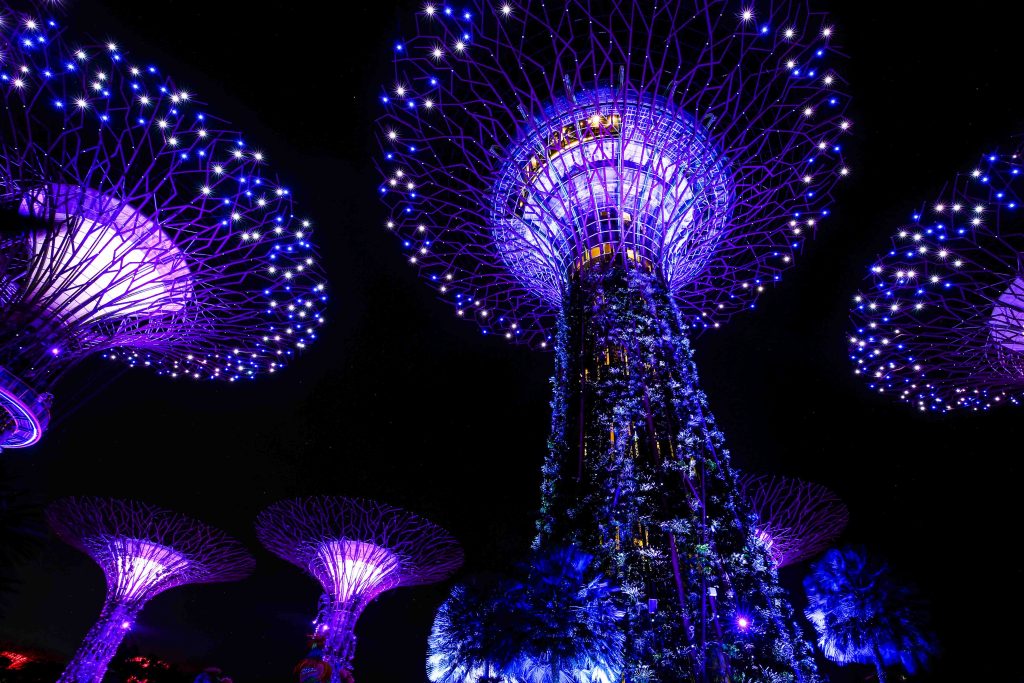 Celebrating a Decade of Wonder: Christmas Wonderland 2023 is Officially Open - Alvinology