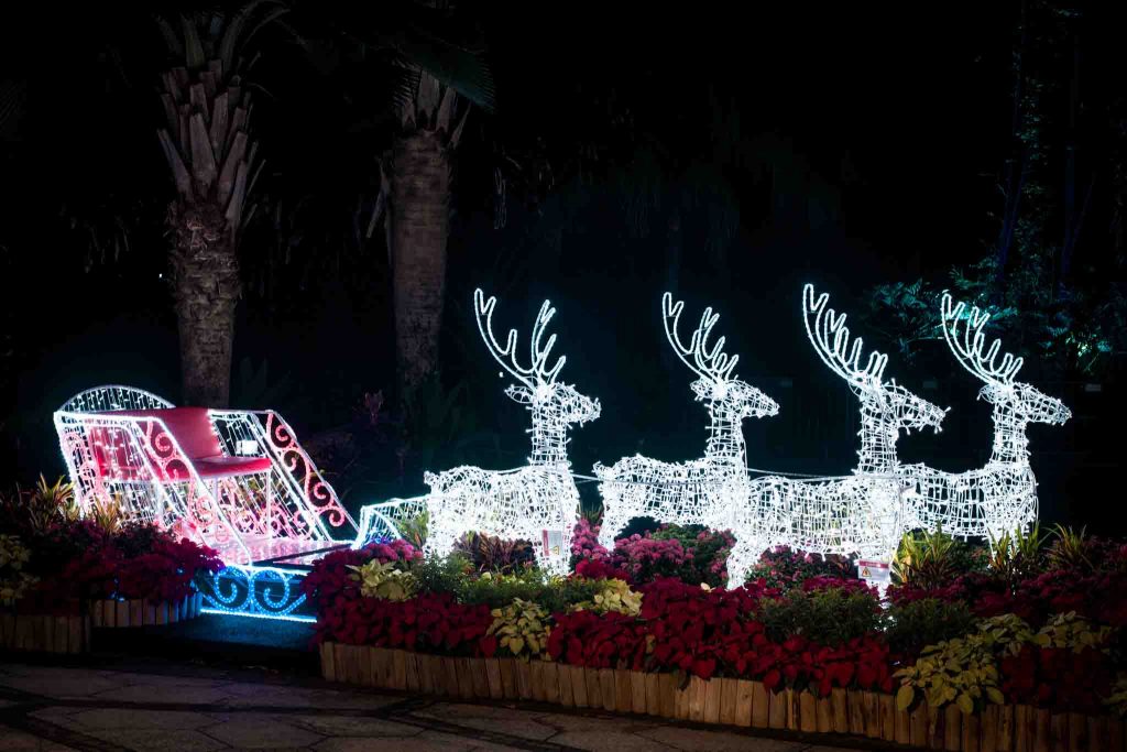 Celebrating a Decade of Wonder: Christmas Wonderland 2023 is Officially Open - Alvinology