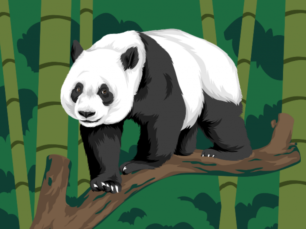 A Heartfelt Farewell to Singapore's Beloved Giant Panda Cub, Le Le, as He Prepares to Embark on Conservation Journey - Alvinology
