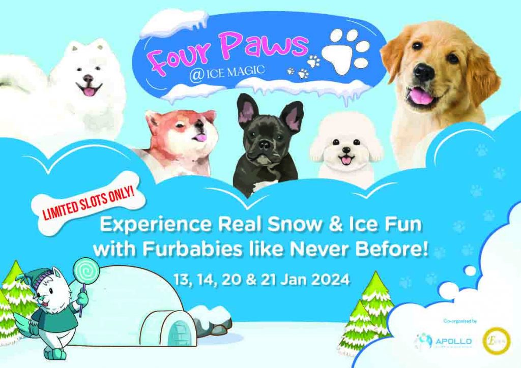 Snowy Paw-dates Await: 4 Paws @ Ice Magic - Singapore's Premier Winter Experience for Dogs and Their Owners - Alvinology