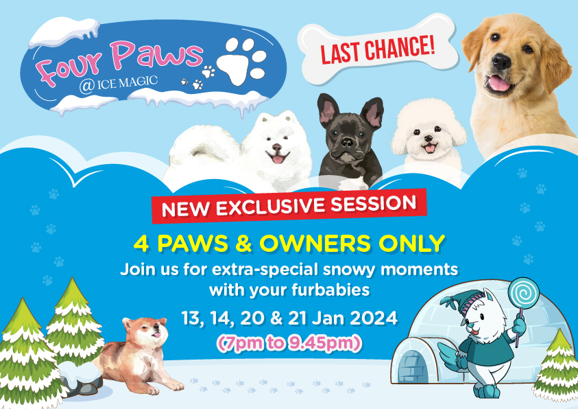 Pawesome Nights Extended for Furry Friends: 4 Paws @ Ice Magic Adds Sessions in Response to Overwhelming Demand - Alvinology