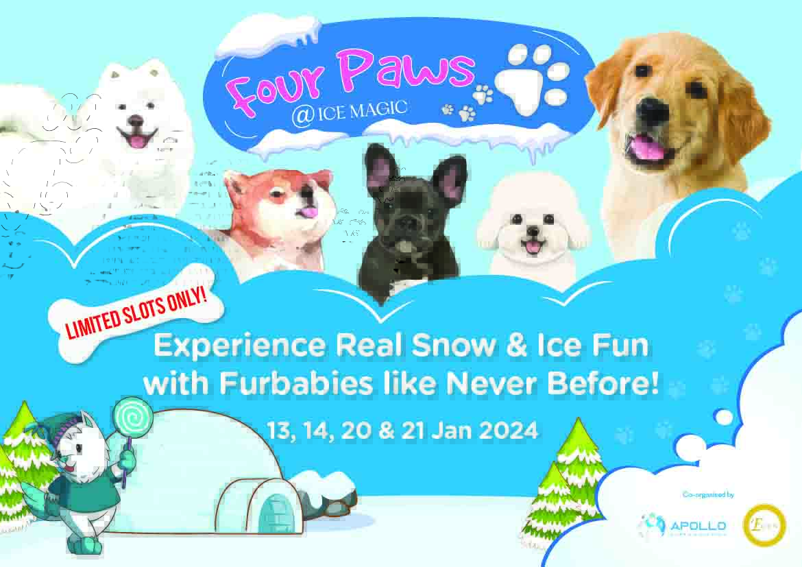 Snowy Paw-dates Await: 4 Paws @ Ice Magic - Singapore's Premier Winter Experience for Dogs and Their Owners - Alvinology