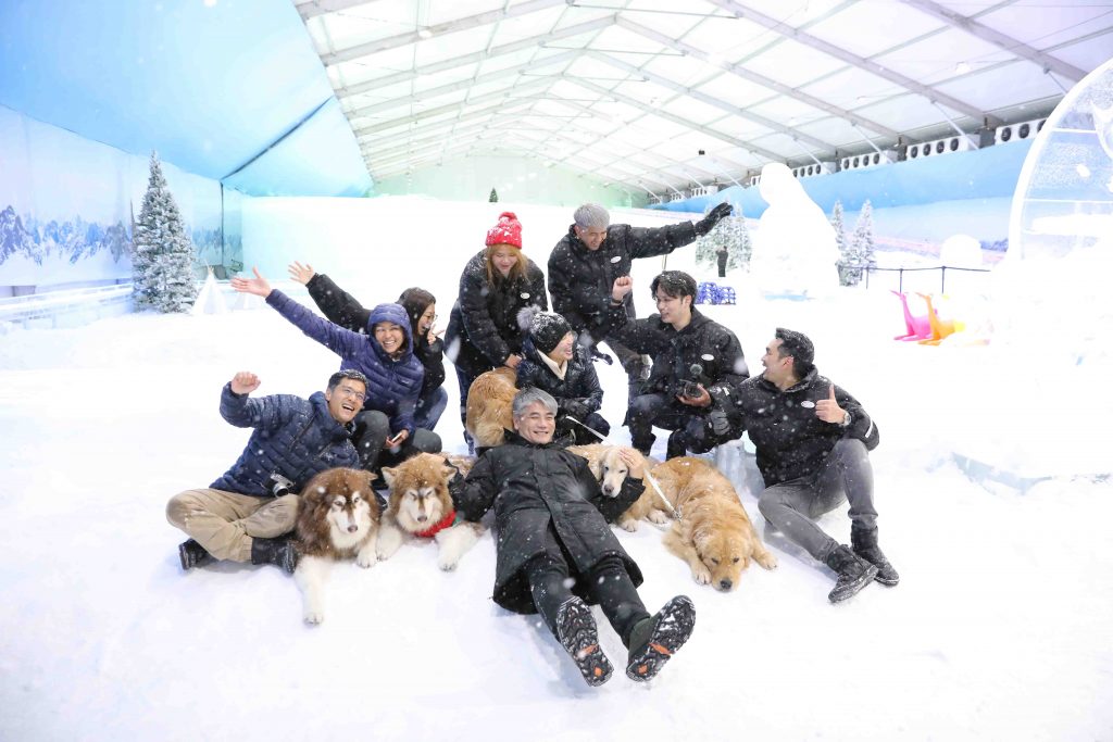 Snowy Paw-dates Await: 4 Paws @ Ice Magic - Singapore's Premier Winter Experience for Dogs and Their Owners - Alvinology
