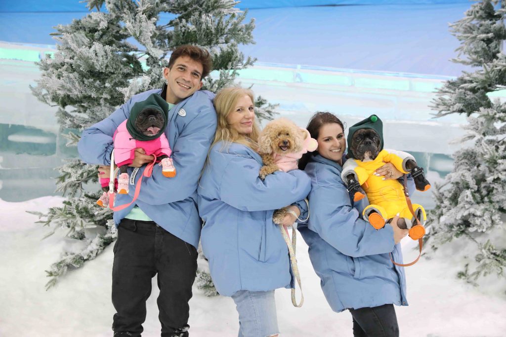 Snowy Paw-dates Await: 4 Paws @ Ice Magic - Singapore's Premier Winter Experience for Dogs and Their Owners - Alvinology