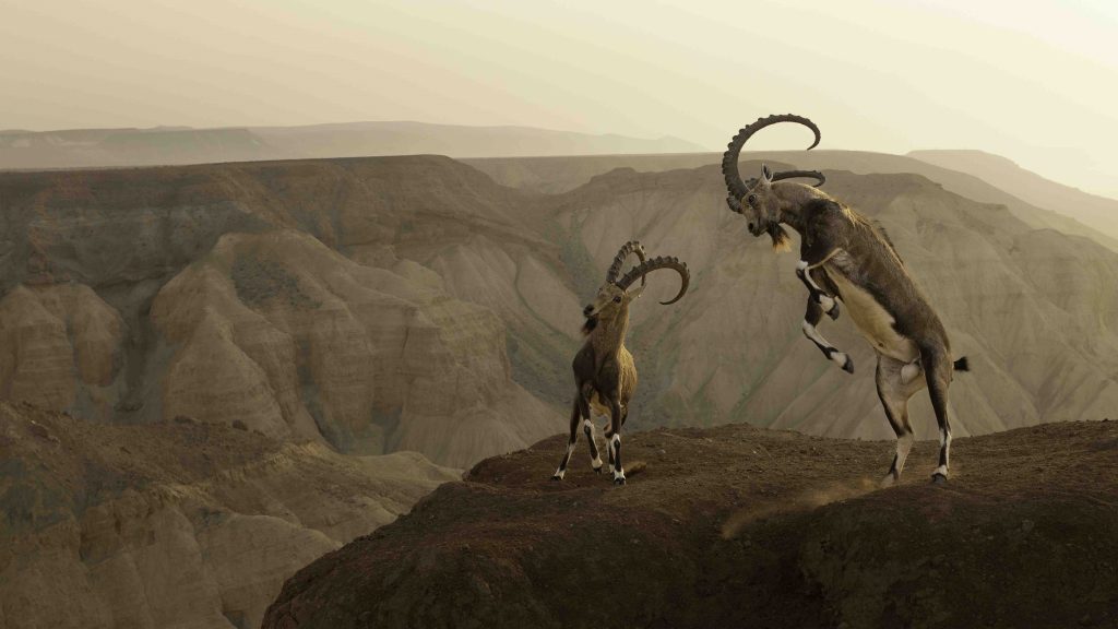 Captivating Wildlife Photography Takes Center Stage at Science Centre Singapore - Alvinology