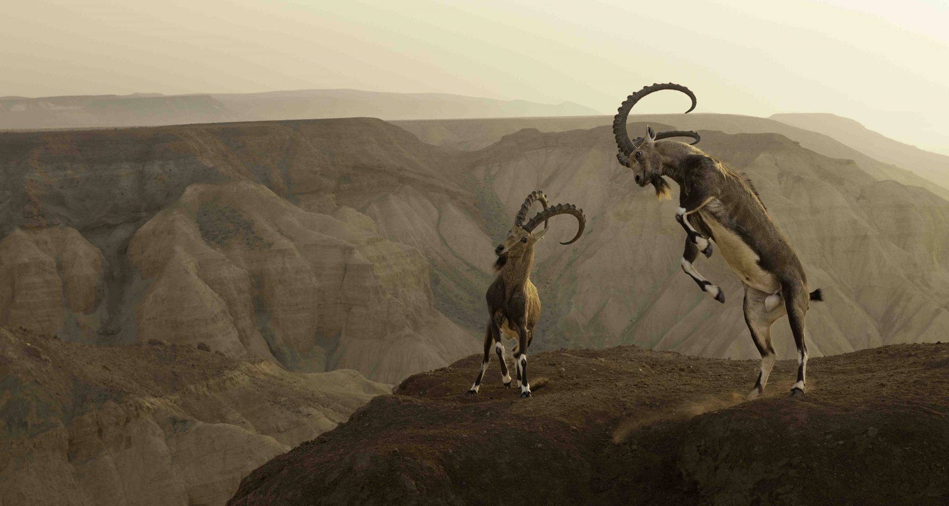 Captivating Wildlife Photography Takes Center Stage at Science Centre Singapore - Alvinology