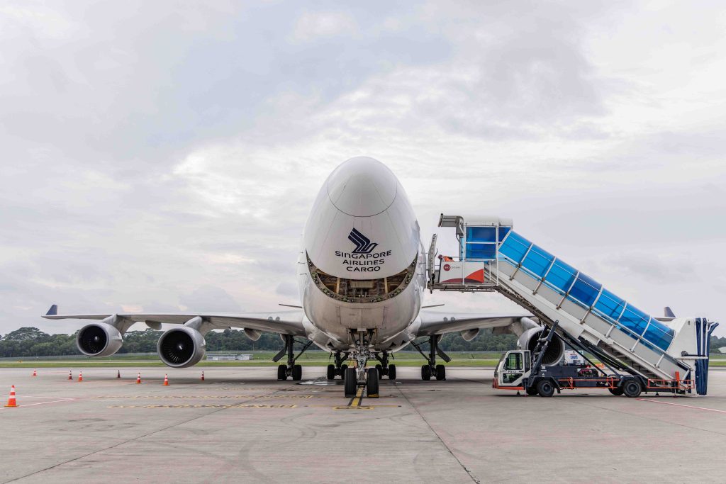 Giant Panda Le Le Embarks on a New Chapter, Safely Arrives in China via Specially Arranged Singapore Airlines Flight - Alvinology