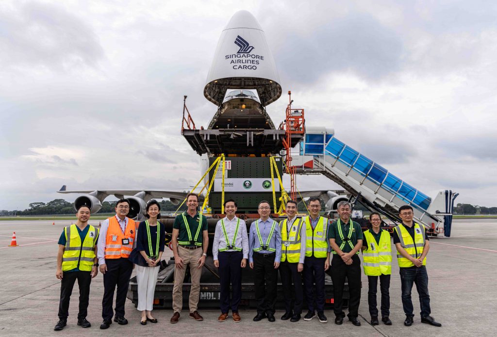 Giant Panda Le Le Embarks on a New Chapter, Safely Arrives in China via Specially Arranged Singapore Airlines Flight - Alvinology
