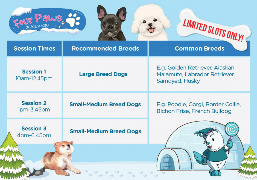 Snowy Paw-dates Await: 4 Paws @ Ice Magic - Singapore's Premier Winter Experience for Dogs and Their Owners - Alvinology