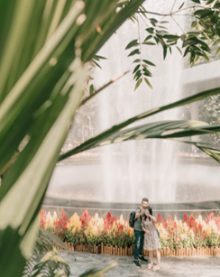 Changi Airport and Jewel Unveil Roaring Lunar New Year Celebrations with Exciting Promotions Changi Airport and Jewel Unveil Roaring Lunar New Year Celebrations with Exciting Promotions - Alvinology