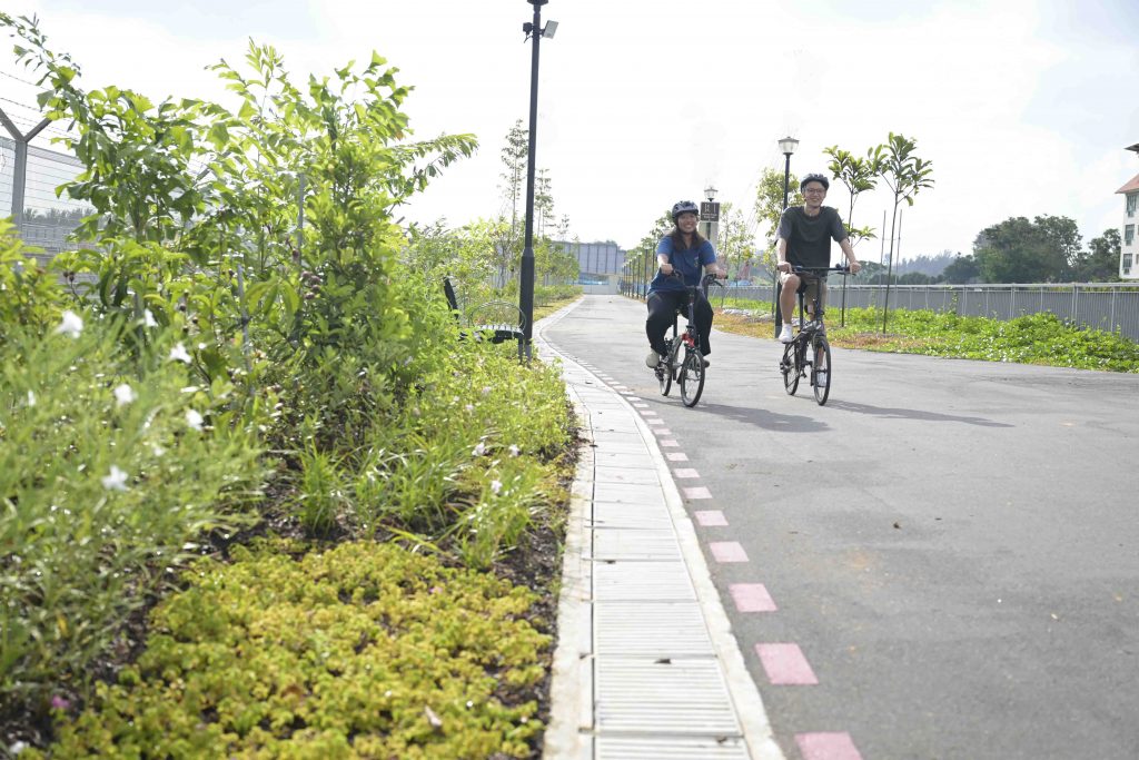 Eastern Corridor Completed with Enhanced Recreational Experience, Round Island Route Set for Upgrades - Alvinology
