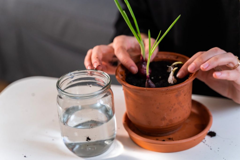 FRx Eco-Perks Returns to Frasers Property Singapore Malls: Embrace Sustainability, Reap Daily Rewards FRx Eco-Perks Returns to Frasers Property Singapore Malls: Embrace Sustainability, Reap Daily Rewards - Alvinology