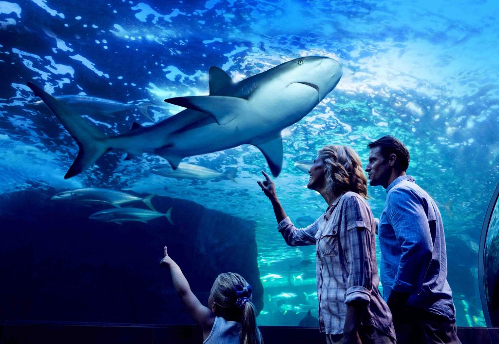 Embark on Family-Friendly Adventures to Discover Australia's Diverse Wonders Embark on Family-Friendly Adventures to Discover Australia's Diverse Wonders - Alvinology