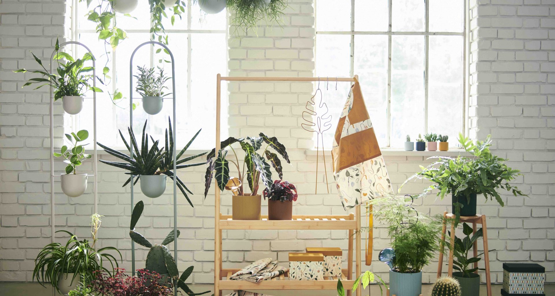 IKEA DAKSJUS Collection: Bring The Outdoors In and Let Your Home Bloom with Vitality - Alvinology