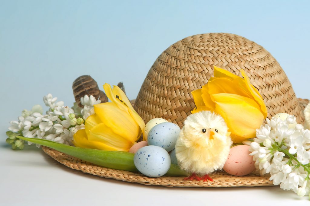 Bird Paradise and Mandai Wildlife West Hosts Their First-ever Easter Eggs-travaganza this March School Holiday Bird Paradise and Mandai Wildlife West Hosts Their First-ever Easter Eggs-travaganza this March School Holiday - Alvinology