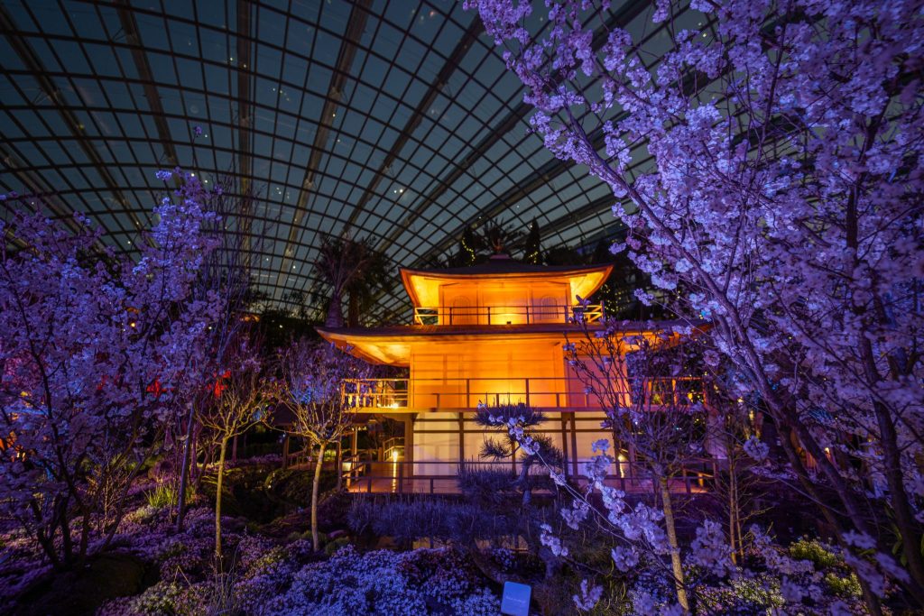 Gardens by the Bay Unveils First-ever Day-to-Night Sakura Experience Inspired by Kyoto - Alvinology
