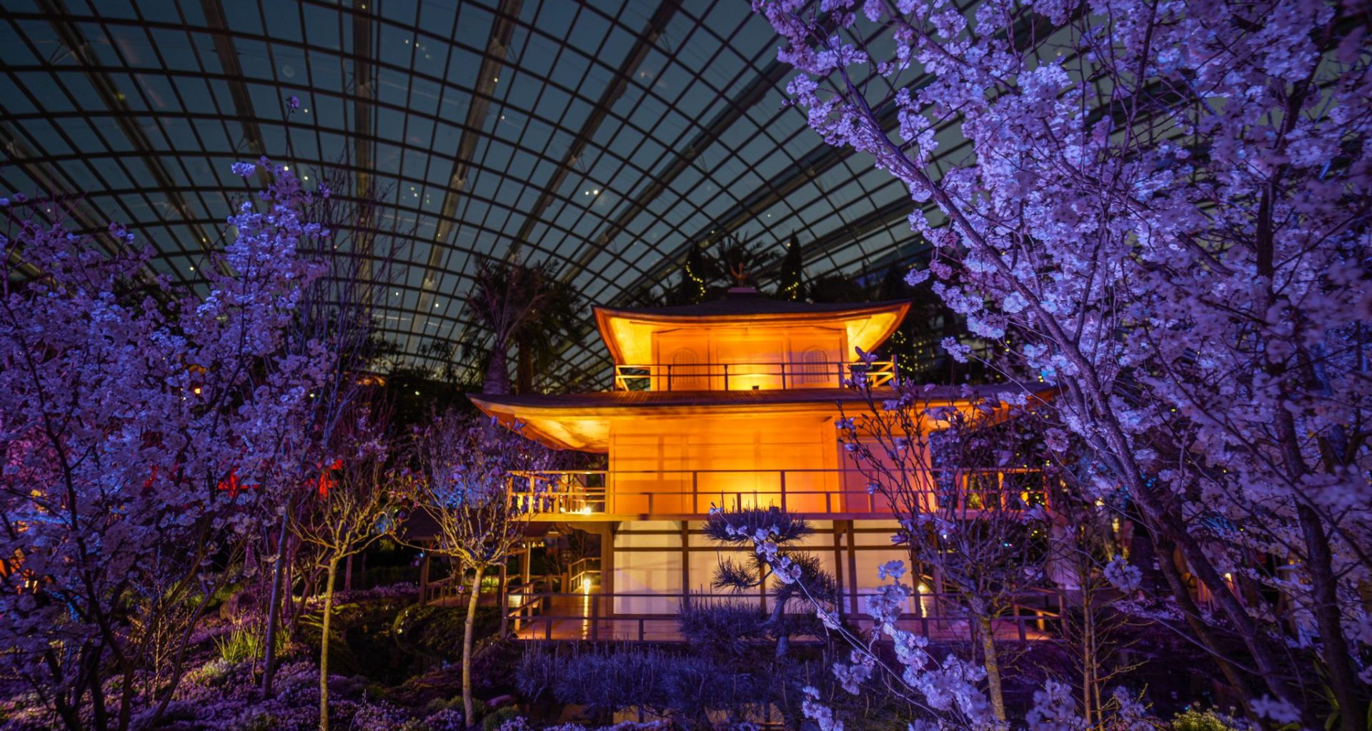 Gardens by the Bay Unveils First-ever Day-to-Night Sakura Experience Inspired by Kyoto - Alvinology