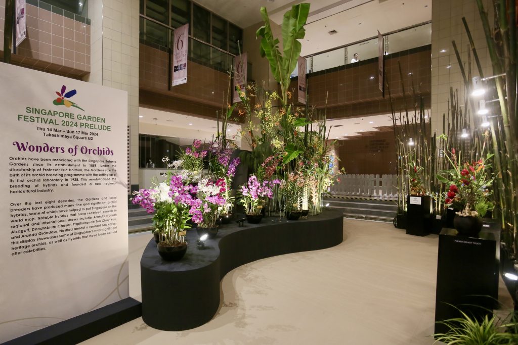 Singapore Garden Festival 2024 Blooms Again: A Floral Extravaganza - Alvinology