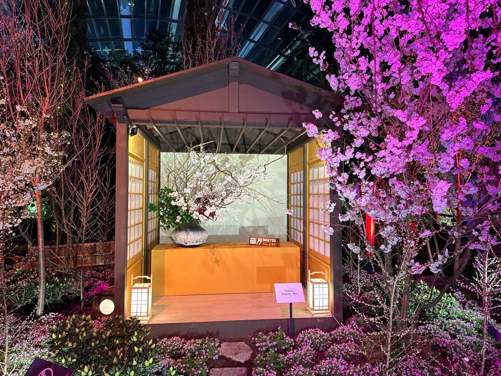 Gardens by the Bay Unveils First-ever Day-to-Night Sakura Experience Inspired by Kyoto - Alvinology