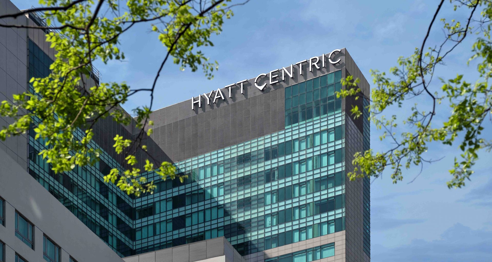 Introducing Hyatt Centric Zhongshan Park Shanghai: The Latest Gem in Shanghai's Bustling Landscape - Alvinology