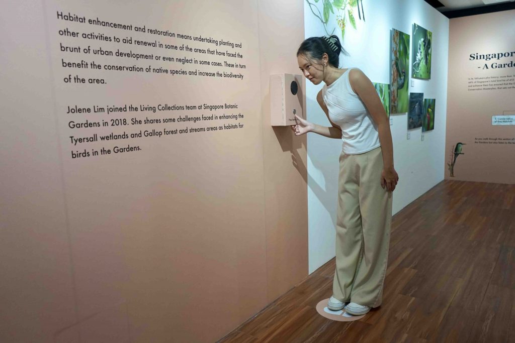 Exploring the Avian Wonders of Singapore Botanic Gardens: New Exhibition Celebrates Community Efforts in Bird Photography - Alvinology