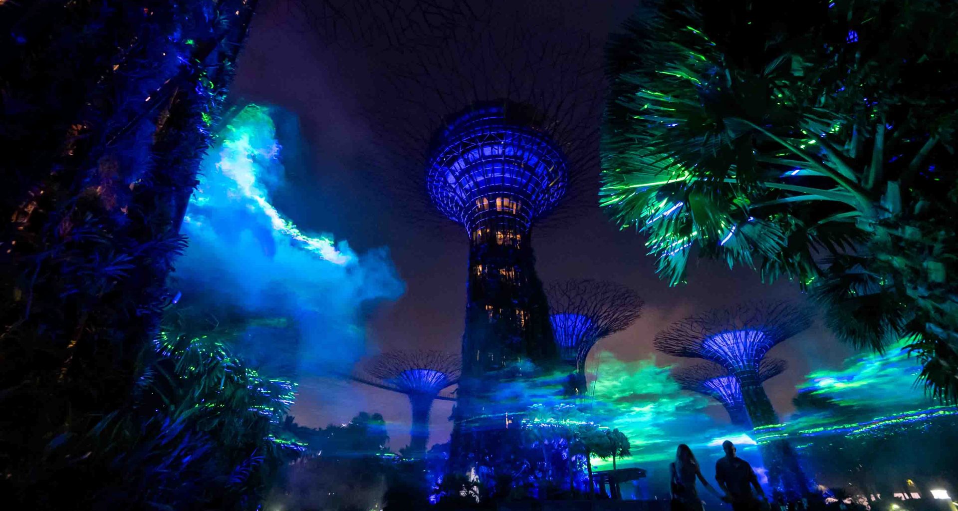 New Sensation Lights Up Supertree Grove: Borealis by Switzerland-based artist Dan Acher - Alvinology