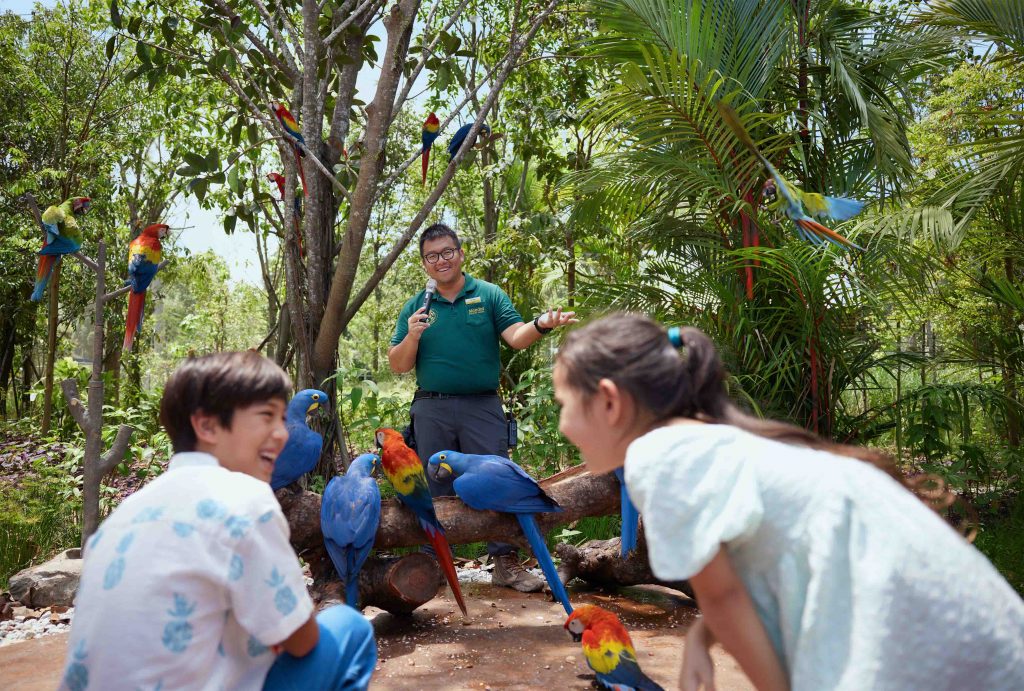 Revel in Zoolympix Action, a Nocturnal Birthday Bash, and Avian Wonders at the Mandai Wildlife Reserve - Alvinology
