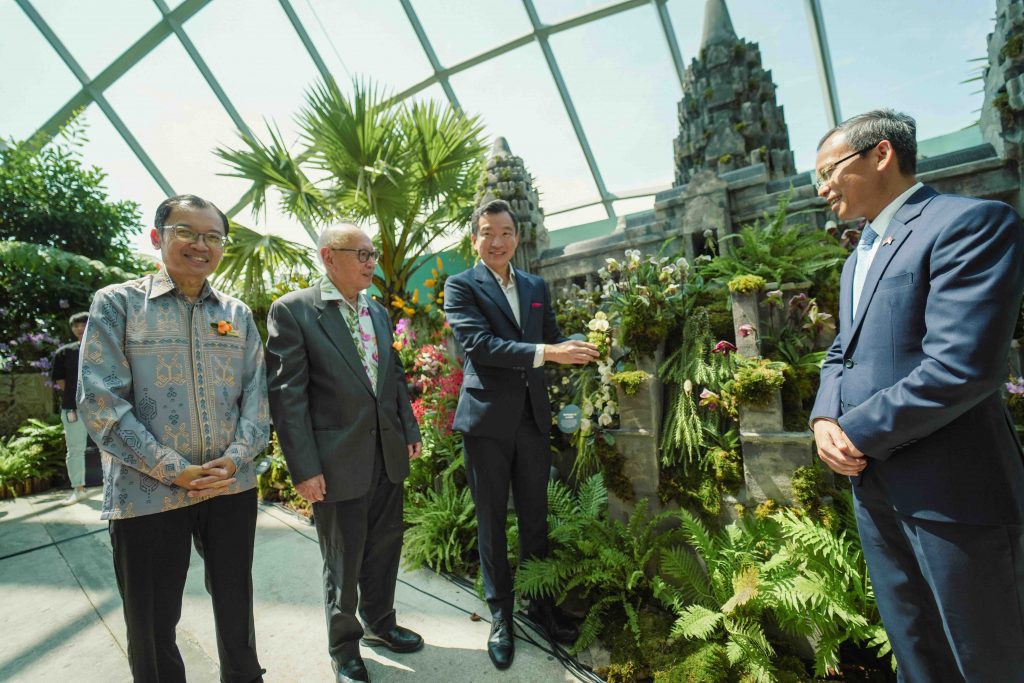 Orchids of Angkor Wat: Explore the Enchanting World of Cambodian Orchids at Cloud Forest's New Display - Alvinology