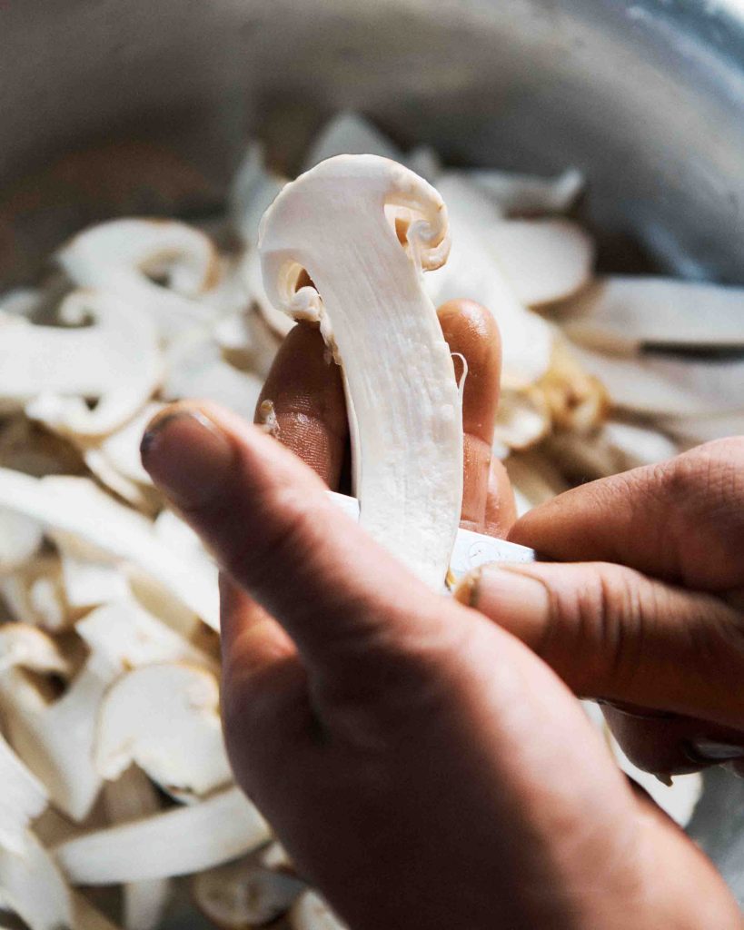 Bhutan's Mushroom Wonderland: Exploring Over 400 Varieties in the Land of the Thunder Dragon Bhutan's Mushroom Wonderland: Exploring Over 400 Varieties in the Land of the Thunder Dragon - Alvinology