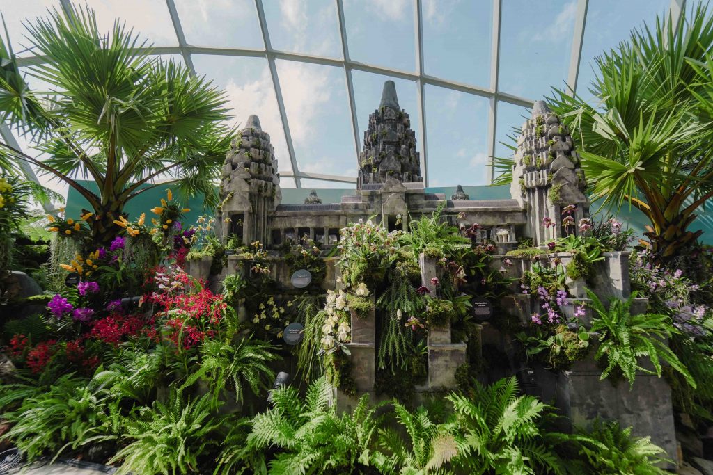 Orchids of Angkor Wat: Explore the Enchanting World of Cambodian Orchids at Cloud Forest's New Display - Alvinology