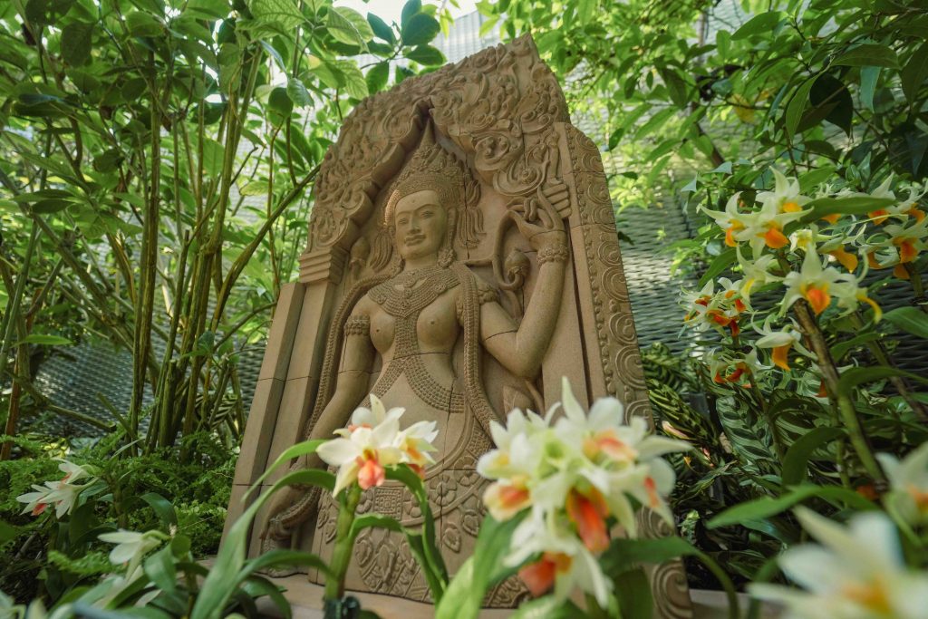 Orchids of Angkor Wat: Explore the Enchanting World of Cambodian Orchids at Cloud Forest's New Display - Alvinology
