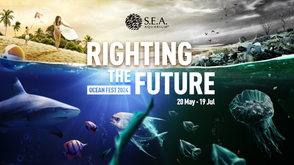 Ocean Fest 2024: Righting the Future - Dive into the Wonders of the S.E.A. Aquarium - Alvinology