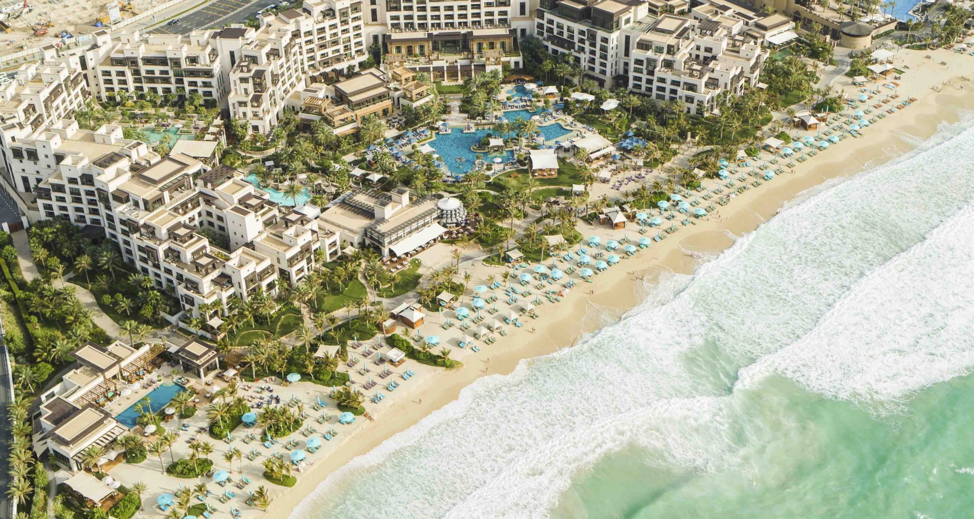 Jumeirah Al Naseem Launches Turtle-Inspired Stay Experience to Celebrate 20 Years of Dubai Turtle Rehabilitation Project - Alvinology
