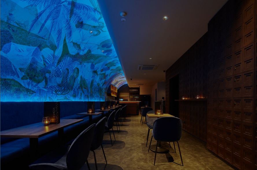 Celebrating 11 Years of NOX - Dine in the Dark: A Tribute to Inclusivity and Culinary Brilliance - Alvinology